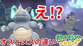 サイホーンとサイドンの違いに驚き！ポケモンのオスとメスの違い【ポケモンLet'sGO！ピカチュウ】