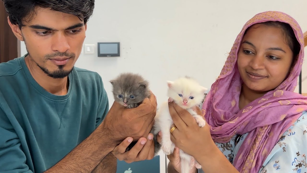 NIKKI KUTTY-ல இது மட்டும் தான் இருக்கு..🫣