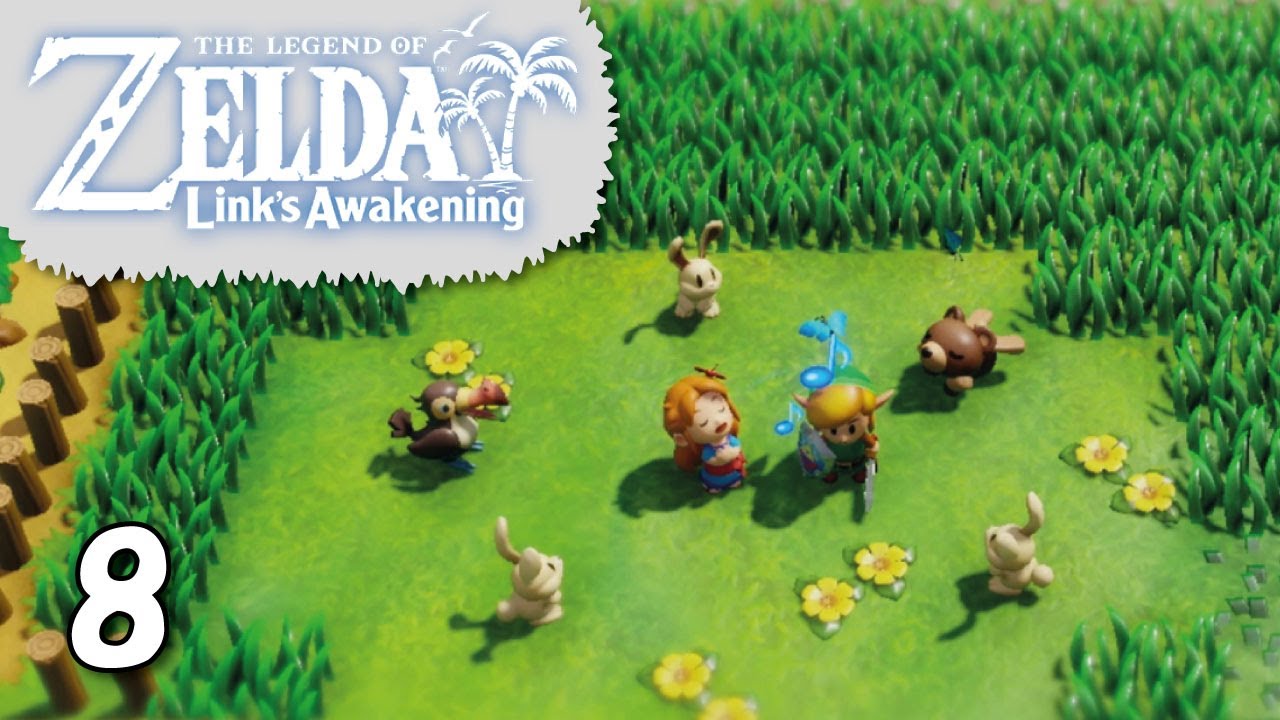 Zelda Links Awakening 8 Weg zur Durstwüste und dem Zoodorf Switch