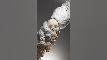 Peace 💀 #skull #simulation #pyrosim #pyro #cinema4d #mograph #cgi #photoshop #redshift #render