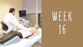 16 Weeks Pregnant - Pregnancy Week By Week