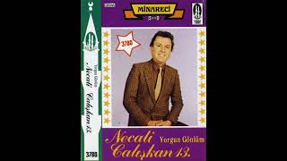 Necati Çalışkan - Bir Denizdir Hayat 1984 - Necati Çalışkan 13. - Yorgun Gönlüm 04 Mi̇nareci̇ 3780 Resimi