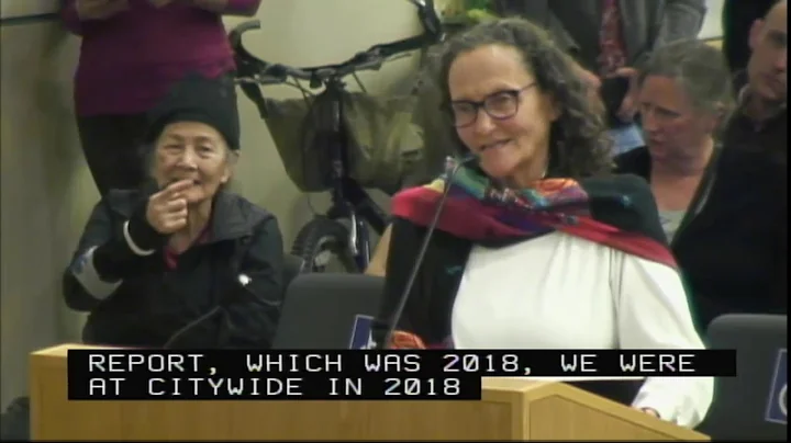 2020 02 04 Vicki Alexander City Council