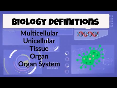 Biology Vocabulary (Unicellular,Multicellular,Tissue,Organ,Organ System)