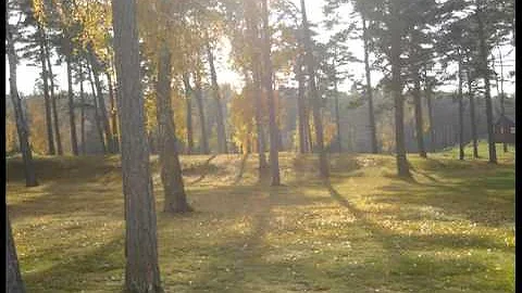 Russell Shaw - summer fields, Autumn, Bower lake