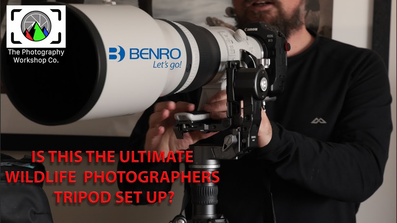 Benro GH2F folding gimbal - Is this the ultimate wildlife 