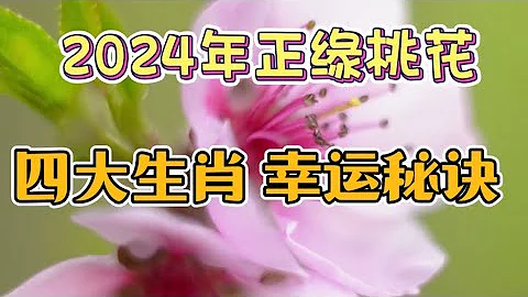 2024年正緣桃花旺的四大生肖 幸運秘訣 - 天天要聞