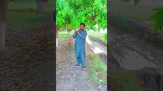 Fozia Soomro Jalal Chandio Sindhi Song
