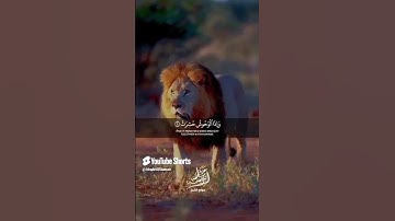 القرآن الكريم كما يجب أن يسمعه الجميع! #عبدالباسط #القرآن