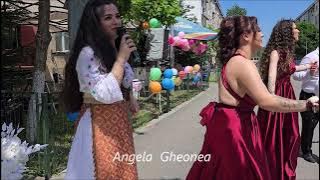Angela Gheonea & Costinel Buda(orga)*** Hora 4 la nunta- Obiceiuri in Rovinari Gorj***Cover