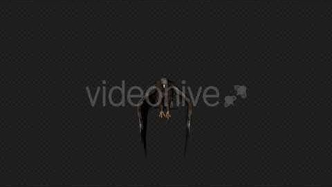 Eagle Fly Idle Pack03 4 In 1 | Motion Graphics - Envato elements