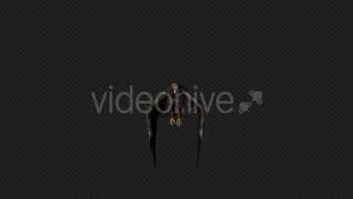Eagle Fly Idle Pack03 4 In 1 | Motion Graphics - Envato elements