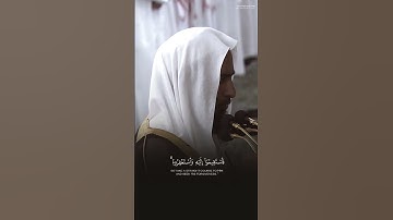 تلاوة جميلة من سورة فصلت للشيخ:#أحمد_بن_طالب #القرآن_الكريم #المسجد_النبوي #quran#تلاوات#تلاوة_مميزة