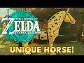 Zelda: Tears of the Kingdom - Unique Horse Spot Location (Incomplete Stable Quest)