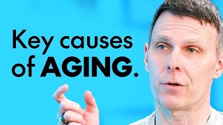 AGING IS A SCIENCE: What To Eat & When To Eat To SLOW THE AGING Process | Matt Kaeberlein