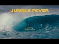 JUNGLE FEVER - WILLIAM ALIOTTI MENTAWAI