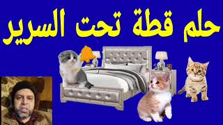تفسير حلم قطة تحت السرير في المنام   محمود منصور                  سمعها