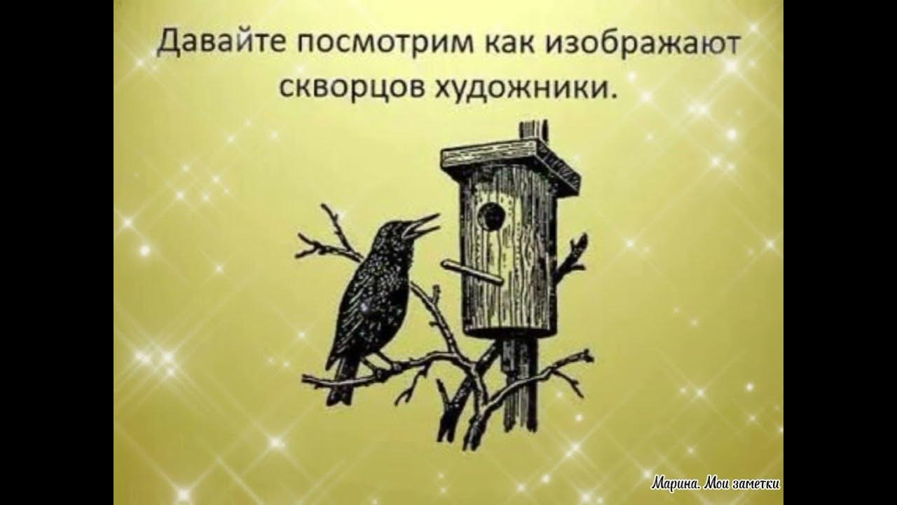 Скворцы прилетели картинки для детей. Скворец рисунок. Рисование с детьми скворечник. Рисование скворечник. Скворец на ветке рисунок.
