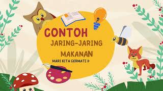 VIDEO PEMBELAJARAN PENJELASAN CONTOH JARING-JARING MAKANAN