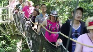 Sustainable Communities Field School at UBC Botanical Garden
