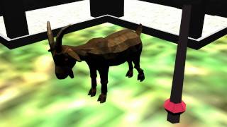 Goat animation test with blender