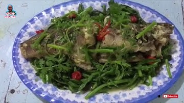 Cá lóc hấp rau ngổ món ăn dân dã ở miền quê sông nước!