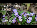 В Нальчике весна, 27.03.2022г.