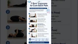 🔥 Back Pain Relief in 5 Minutes | 5 Best Yoga Poses for Instant Relief #DreamTrackAI yoga 4 backpain