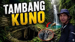 Menjelajah Hutan Leuser Aceh, Nemu Satwa Liar & Tambang Misterius