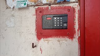 видео: 🔴Тест универсальных ключей от домофонов (УнДмк) Комплект УК-8 | Воронеж (Вся информация в описании!) картинка: 🔴Тест универсальных ключей от домофонов (УнДмк) Комплект УК-8 | Воронеж (Вся информация в описании!)