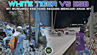 WHITE TIGER VS ESB | WT MENUNGGU ESB YANG SEDANG MENCARI ANAK WT | #indopriderp #wtgg #esb 