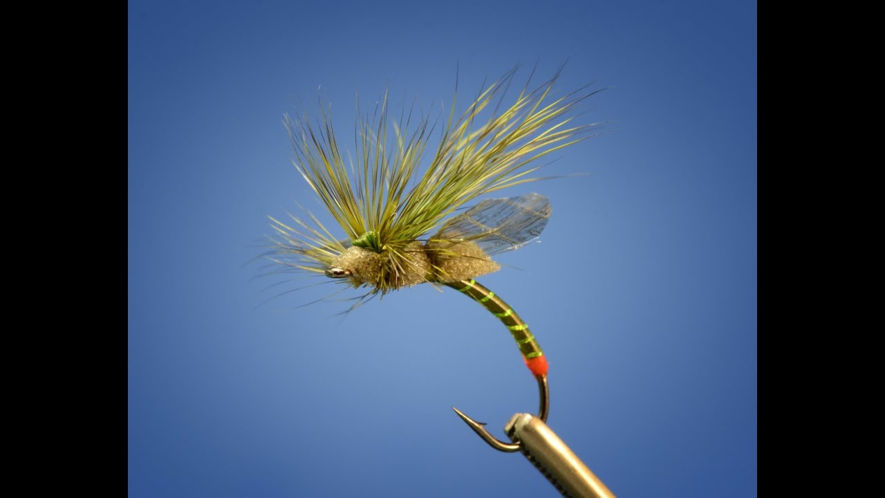 Green Drake Fly Pattern Awesome Inspiration Design Green Drake Fly Pattern Awesome Inspiration Design
