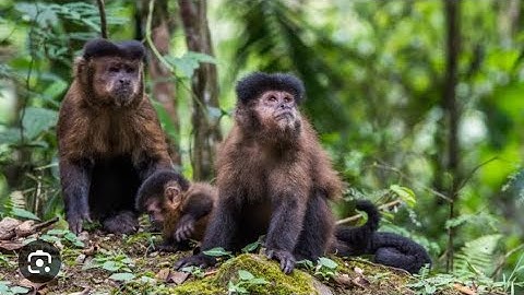 Eu e minha família fomos em um parque ecológico...