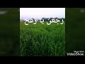رفح شمال سيناء 