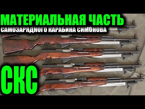 Video: SKS karbinasi uchun optik ko'rish: qanday tanlash kerak?