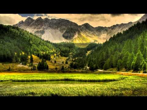 Daniel Kandi -