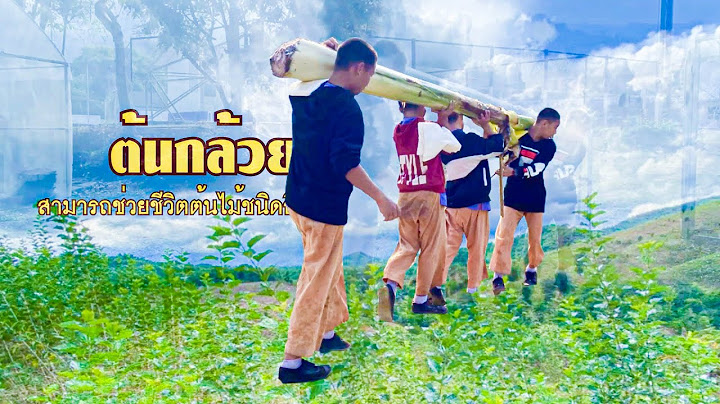 VTR ต้นกล้วยช่วยชีวิต รร.บ้านสบมาง อ.บ่อเกลือ จ.น่าน