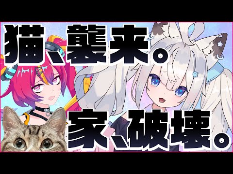 猫駆除☆だぜ☆通風性☆【Smash Your PC】