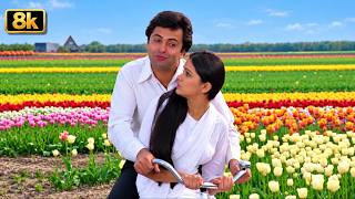 Bhanware Ne Khilaya Phool  - ऋषि कपूर और पद्मिनी का वो रोमांटिक गीत जो आज भी यादगार है ❤️