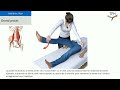 Test muscle grand psoas  kinsiologie  touch for health  tfh