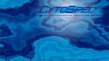 Tutorial Univariate Imaging with CytoSpec