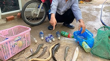 Tập 16: thả câu chai điểm bí mật , nguy hiểm khó đi - dính cá lóc đồng