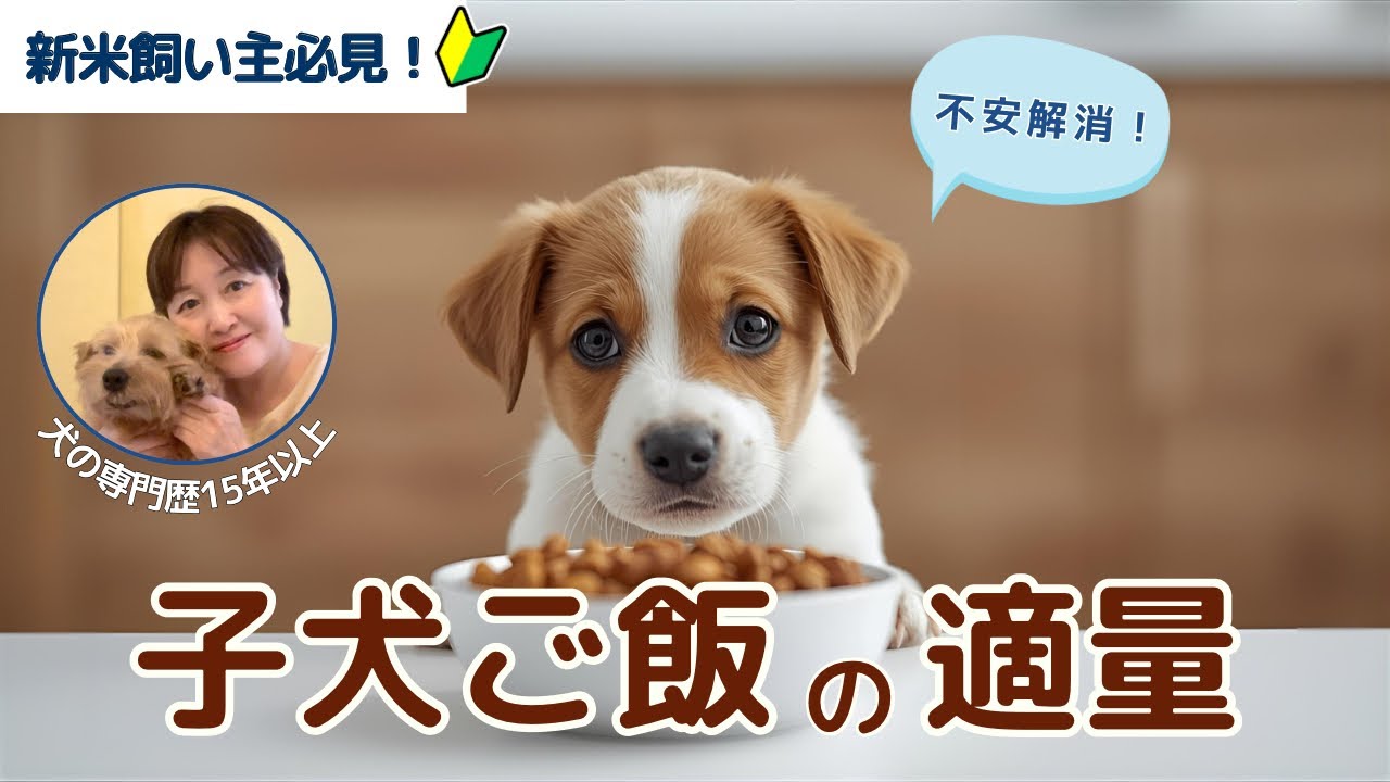 新米飼い主必見！子犬のご飯の適量サインと増やし方3ステップ