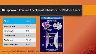 Alternates to Radical Cystectomy: Outcomes and Methods