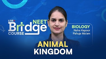 Animal Kingdom Part-3 | Free Bridge Course for NEET 2025 Aspirants | Biology 📚 ALLEN NEET