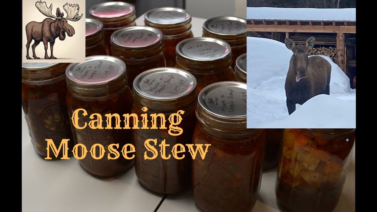 Canning Moose Stew on our Alaska Homestead.