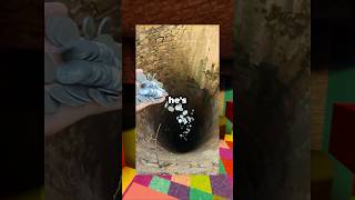 He Tried Filling A Well With Pennies