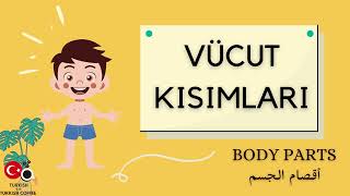 Body Parts in Turkish | Learn Body Parts in Turkish with Sentence Examples