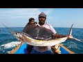 SAIL FISH, KING FISH & COBIA FISH CATCHING IN SEA
