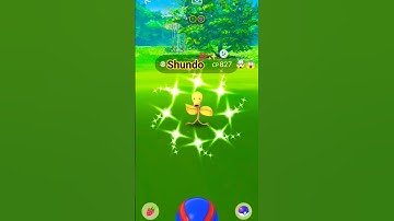 💯✨Shundo Bellsprout #shiny #pokemon #pokemongo#shundo